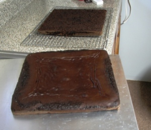 torted choc cake compressed